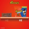 image:imageREESES OREO Miniatures Milk Chocolate and White Creme Peanut Butter Cups Candy Share Pack 9 ozPeanut Butter