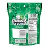 image:imageICE BREAKERS Ice Cubes Spearmint Sugar Free Chewing Gum Pouch 811 oz 100 PiecesSpearmint