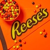 image:imageREESES PIECES Peanut Butter in a Crunchy Shell Candy Bulk Bag 48 ozCandy Box