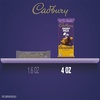 image:imageCADBURY DAIRY MILK CARAMELLO Milk Chocolate Candy Bars 4 oz 14 CountXL pack of 14
