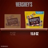 image:imageHERSHEYS Miniatures Assorted Chocolate Candy Family Pack 176 oz159 Ounce Pack of 1