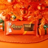 image:imageREESES Milk Chocolate HalfPound Peanut Butter Cups Candy Pack 16 oz 2 PiecesPeanut Butter