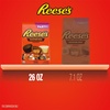 image:imageREESES Miniatures Assorted Flavored Peanut Butter Cups Candy Party Pack 266 oz