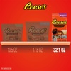 image:imageREESES Miniatures Assorted Flavored Peanut Butter Cups Candy Party Pack 321 oz