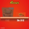 image:imageREESES Miniatures Milk Chocolate Peanut Butter Cups Candy Packs 031 oz 105 Pieces203 Pound Pack of 2