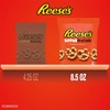 image:imageReeses Chocolate and Peanut Butter Candy Dipped Pretzels Bag 85 Ounce85 Ounce Pack of 2