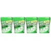 image:imageICE BREAKERS ICE CUBES Cinnamon Flavored 162 ounce 6 CountSpearmint