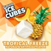 image:imageICE BREAKERS ICE CUBES Cinnamon Flavored 162 ounce 6 CountTropical Freeze