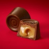 image:imageROLO Rich Chocolate Caramels Candy Family Pack 161 oz178 Ounce Pack of 1
