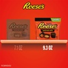 image:imageREESES Miniatures Dark Chocolate Peanut Butter Cups Candy Share Pack 93 oz