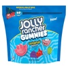 image:imageJOLLY RANCHER Gummies Assorted Fruit Flavored Candy Bag 13 oz13 oz Pack of 2